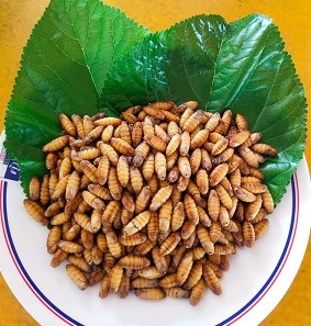 ดักแด้ทอด